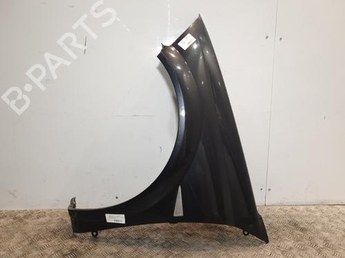 Left front fenders RENAULT MEGANE II Coupé-Cabriolet (EM0/1_) 1.9 dCi | BP20374692C41 
