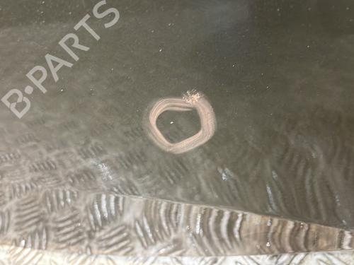 Left rear door CITROËN DS4 (NX_) 1.6 HDi 110 | BP30973003C4 