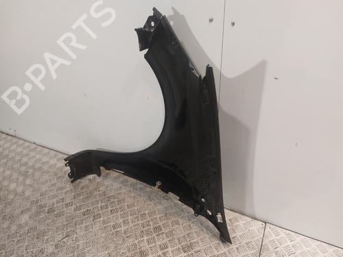 Right front fenders RENAULT CLIO III (BR0/1, CR0/1) 1.5 dCi (C/BR0G, C/BR1G) | BP21823420C42 