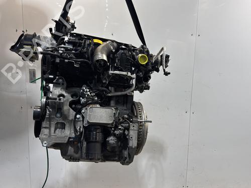 Engine RENAULT KANGOO Express (FW0/1_) | BP33700506M1 - Image 2