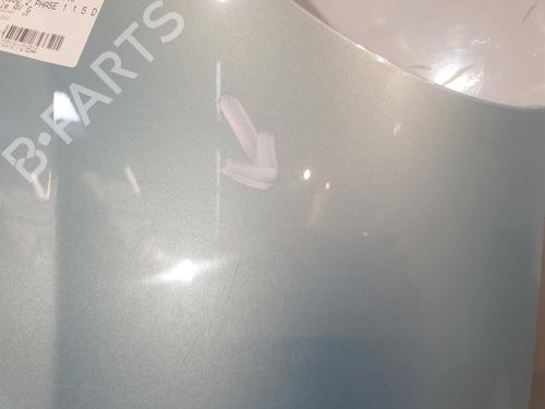 Left front fenders RENAULT KANGOO / GRAND KANGOO II (KW0/1_) 1.5 dCi 90 (KW05, KW08, KW0G, KW11) | BP29052691C41 
