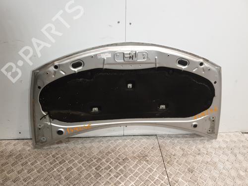 Hood RENAULT CLIO III (BR0/1, CR0/1) 1.5 dCi | BP22596135C1 