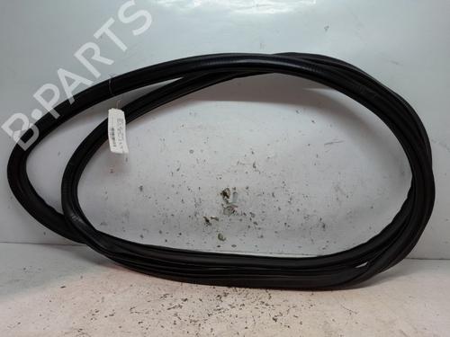 Used Rubber door seal AUDI Q5 (FYB, FYG) 50 TDI quattro (286 hp) 20384658