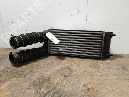 Used Intercooler Intercooler DS DS 4 / DS 4 CROSSBACK (NX_) 1.6 BlueHDi 120 (120 hp) 20382529 20382529