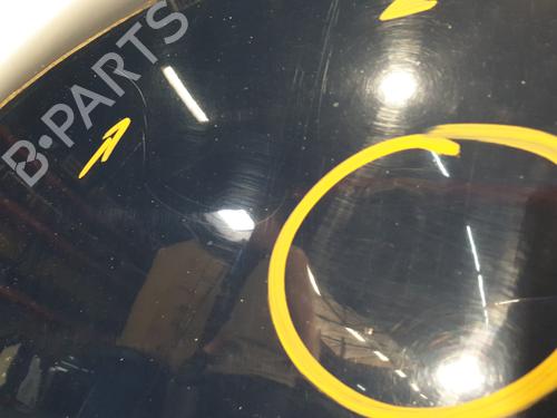 Hood FORD FIESTA VI (CB1, CCN) 1.4 TDCi | BP25907876C1 