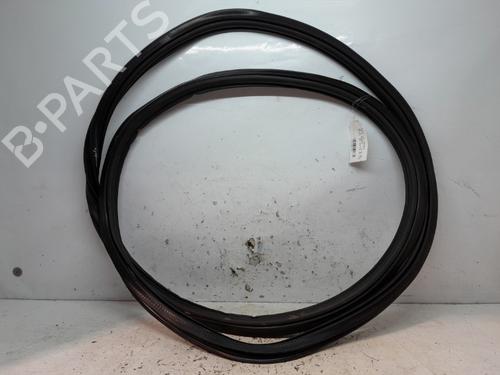 Rubber door seal AUDI Q5 (FYB, FYG) 50 TDI quattro | BP21973697C142