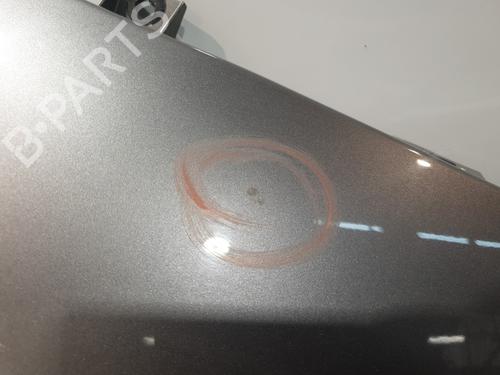 Right front fenders RENAULT SCÉNIC III (JZ0/1_) 1.5 dCi (JZ02, JZ0R) | BP30193441C42 