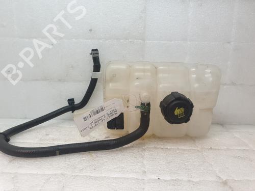 Used Expansion tank RENAULT MEGANE IV Hatchback (B9A/M/N_) 1.5 dCi 110 (B9A3) (110 hp) 29320614
