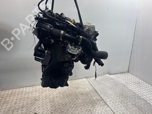Used Engine Engine FORD FIESTA VI (CB1, CCN) [2008-2026] 34117038 34117038
