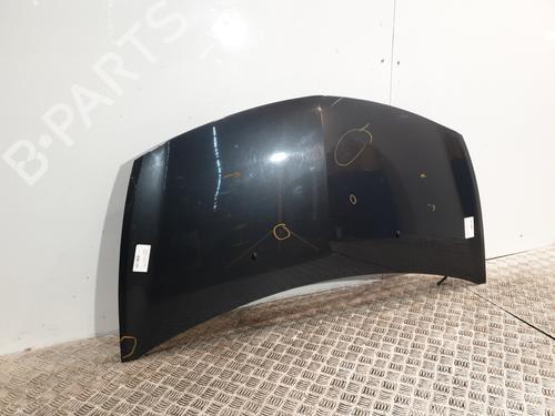 Hood RENAULT CLIO III (BR0/1, CR0/1) 1.2 16V Hi-Flex (BR1U, CR1U) | BP25820138C1 