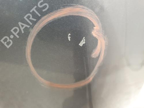 Hood RENAULT SCÉNIC III (JZ0/1_) 1.5 dCi (JZ02, JZ0R) | BP30146700C1 