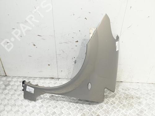 Left front fenders CITROËN C3 Pluriel (HB_) 1.4 | BP20373568C41 