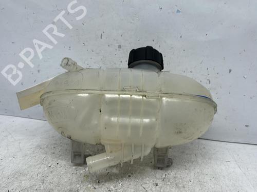 Used Expansion tank RENAULT TRAFIC III Van (FG_) 1.6 dCi 95 (FGMJ, FGMR) (95 hp) 20375626