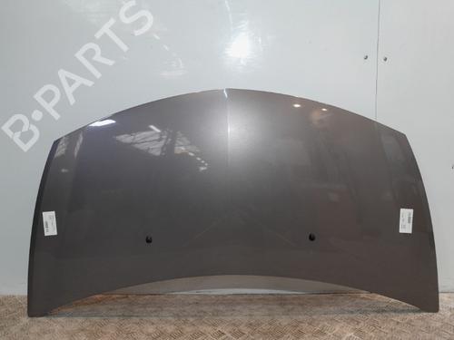 Used Hood RENAULT CLIO III (BR0/1, CR0/1) 1.2 16V (BR02, BR0J, BR11, CR02, CR0J, CR11) (75 hp) 20374462