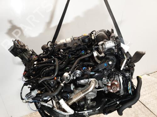 Used Engine Engine FORD FIESTA VI (CB1, CCN) 1.5 TDCi (75 hp) 20381901 20381901