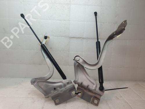 Hinge/Door check strap RENAULT MEGANE IV Hatchback (B9A/M/N_) 1.5 dCi 110 (B9A3) | BP29320615C146 