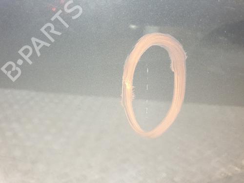 Right rear door RENAULT SCÉNIC III (JZ0/1_) 1.5 dCi (JZ02, JZ0R) | BP30193439C5 