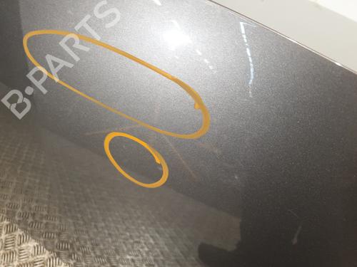 Hood RENAULT CLIO III (BR0/1, CR0/1) 1.5 dCi (C/BR0G, C/BR1G) | BP25130255C1 