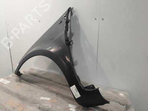 Left front fenders RENAULT CLIO III (BR0/1, CR0/1) 1.5 dCi (BR17, CR17) | BP32311760C41