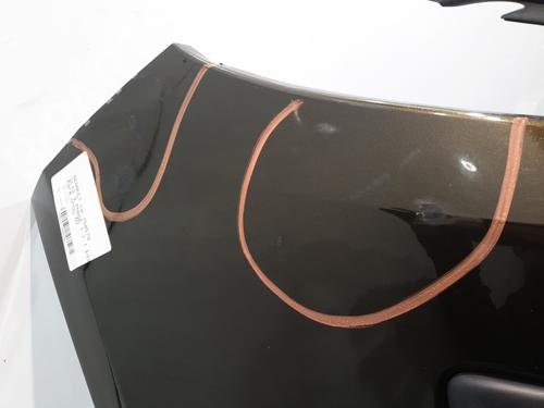 Front bumper RENAULT CLIO III (BR0/1, CR0/1) 1.2 16V (BR02, BR0J, BR11, CR02, CR0J, CR11) | BP30193334C7 