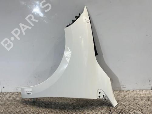 Left front fenders RENAULT MEGANE III Grandtour (KZ0/1) 1.5 dCi (KZ0C, KZ1A) | BP27658245C41 