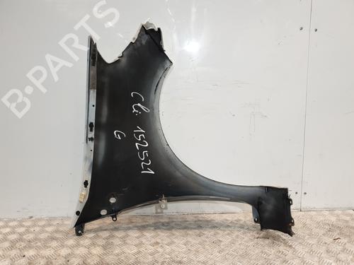 Left front fenders RENAULT CLIO III (BR0/1, CR0/1) 1.5 dCi (BR17, CR17) | BP27673801C41 