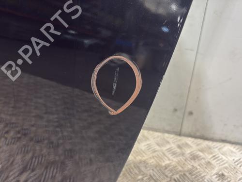 Left front door BMW 1 Coupe (E82) 120 d | BP29415581C2 
