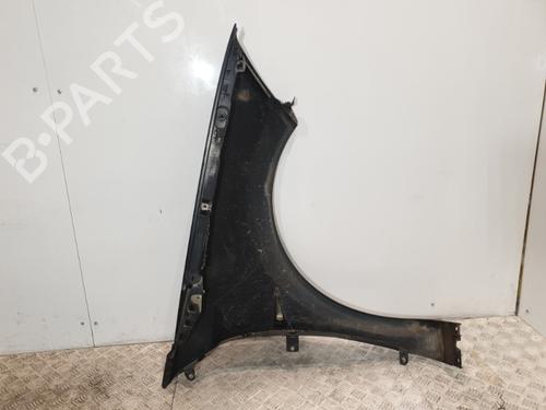 Left front fenders RENAULT MEGANE II Coupé-Cabriolet (EM0/1_) 1.9 dCi | BP20374692C41 