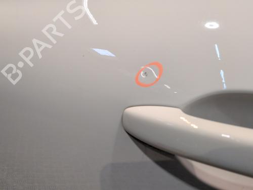 Left front door RENAULT CLIO V (B7_) 1.5 Blue dCi 100 (B7AD) | BP32469402C2 