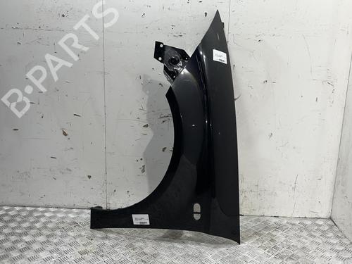 Left front fenders SEAT ALTEA (5P1) 1.9 TDI | BP20383225C41 