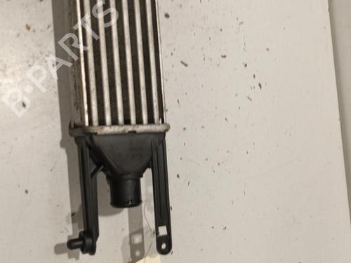 Intercooler FIAT GRANDE PUNTO (199_) 1.3 D Multijet | BP22581676M30 