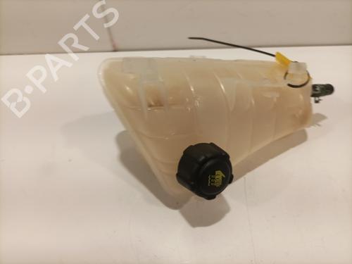 Expansion tank RENAULT KANGOO Express (FW0/1_) 1.5 dCi 90 (FW0G, FW05, FW08, FW11) | BP26909034C120 