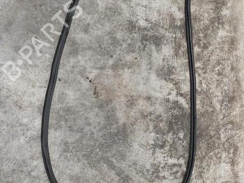 Used Rubber door seal BMW 4 Coupe (F32, F82) 420 d (184 hp) 22580255