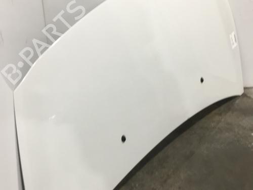 Hood RENAULT CLIO III (BR0/1, CR0/1) 1.5 dCi (C/BR0G, C/BR1G) | BP24180237C1