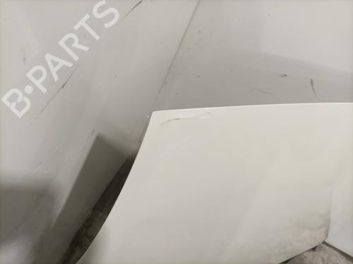 Hood FIAT PUNTO EVO (199_) 1.2 | BP28415732C1