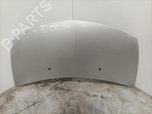 Hood RENAULT CLIO III (BR0/1, CR0/1) 2.0 16V Sport | BP22574354C1 