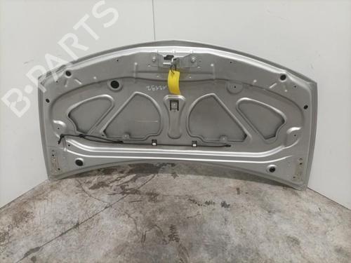 Hood RENAULT CLIO III (BR0/1, CR0/1) 2.0 16V Sport | BP22574354C1 