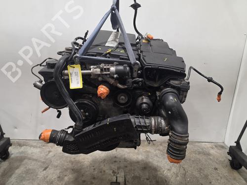 Engine MERCEDES-BENZ C-CLASS (W203) C 200 CGI Kompressor (203.043) | BP39255367M1 - Image 8