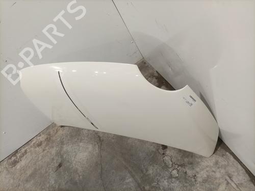 Hood FIAT 500 (312_) 1.3 D Multijet (312AXB1A) | BP28415717C1