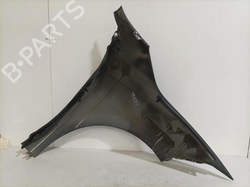 Left front fenders RENAULT MEGANE III Hatchback (BZ0/1_, B3_) 1.5 dCi (BZ09, BZ0D, BZ1W, BZ29, BZ14) | BP22569546C41 