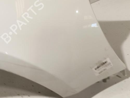 Right front fenders RENAULT CLIO III (BR0/1, CR0/1) 1.5 dCi | BP22572330C42 