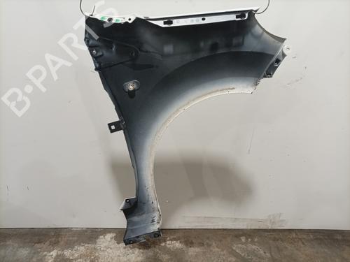 Left front fenders RENAULT TWINGO II (CN0_) 1.5 dCi 75 | BP29822324C41