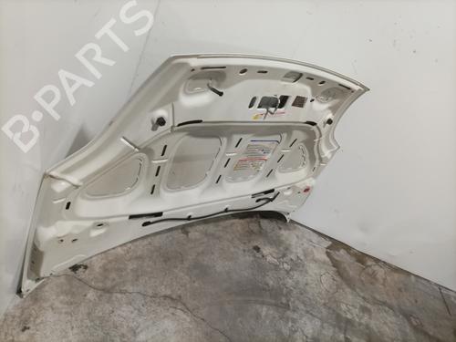 Hood FIAT PUNTO EVO (199_) 1.2 | BP28415732C1