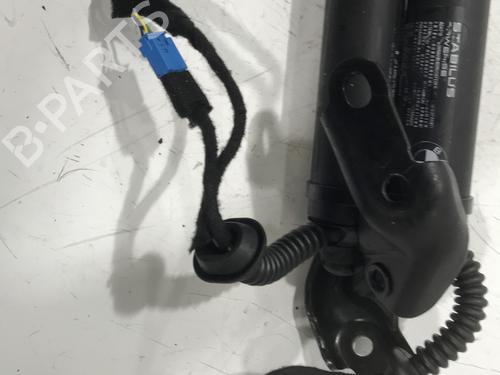 Tailgate lift support BMW 2 Gran Tourer (F46) 218 d | BP28429171C138 