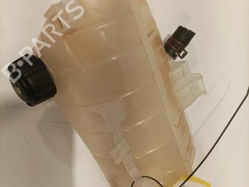 Expansion tank RENAULT KANGOO Express (FW0/1_) 1.5 dCi 90 (FW0G, FW05, FW08, FW11) | BP26909034C120 