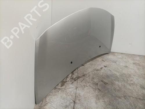 Hood RENAULT CLIO III (BR0/1, CR0/1) 2.0 16V Sport | BP22574354C1 