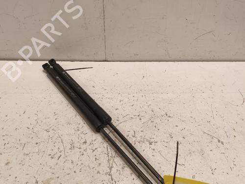 Gasdæmper bagklap Gasdæmper bagklap RENAULT CLIO IV (BH_) 0.9 TCe 90 (BHNF, BHMA, BHMH, BHJK, BHJR) (90 hp) 37500219 37500219