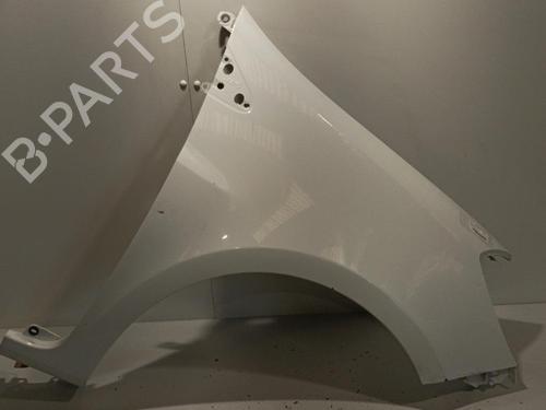 Right front fenders RENAULT CLIO III (BR0/1, CR0/1) 1.5 dCi | BP22587845C42 