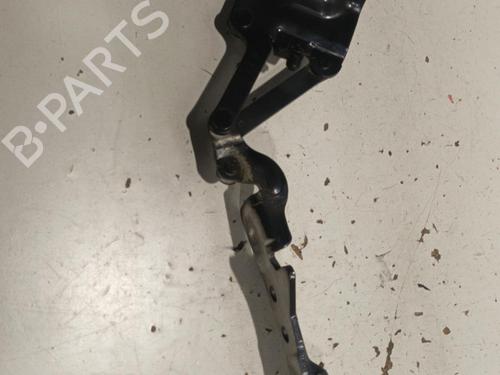 Hinge/Door check strap BMW X6 (E71, E72) xDrive 35 d | BP22570371C146 