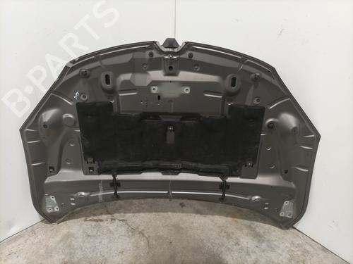 hood-renault-megane-iii-hatchback-bz01_-b3_-2008-34227496 main image